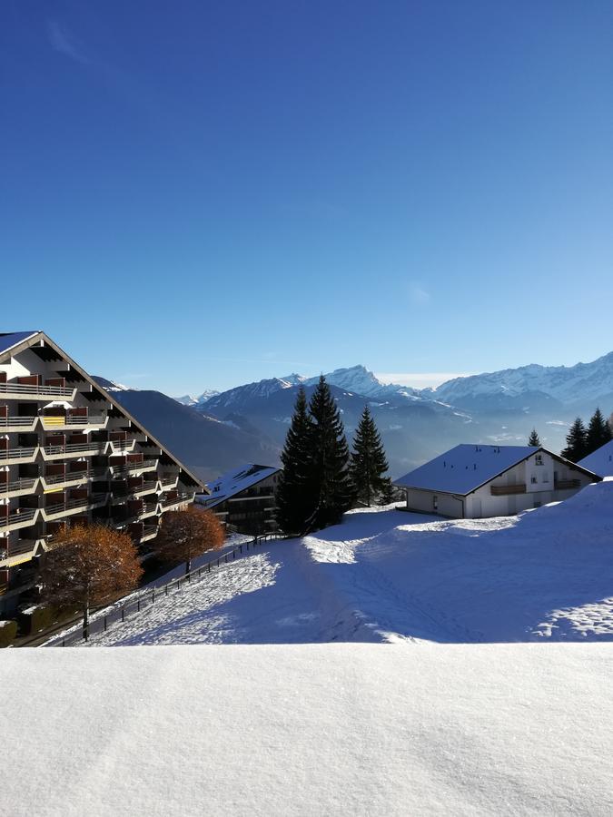 Romantic Chalet-Style Flat With Mountain View Torgon Eksteriør billede
