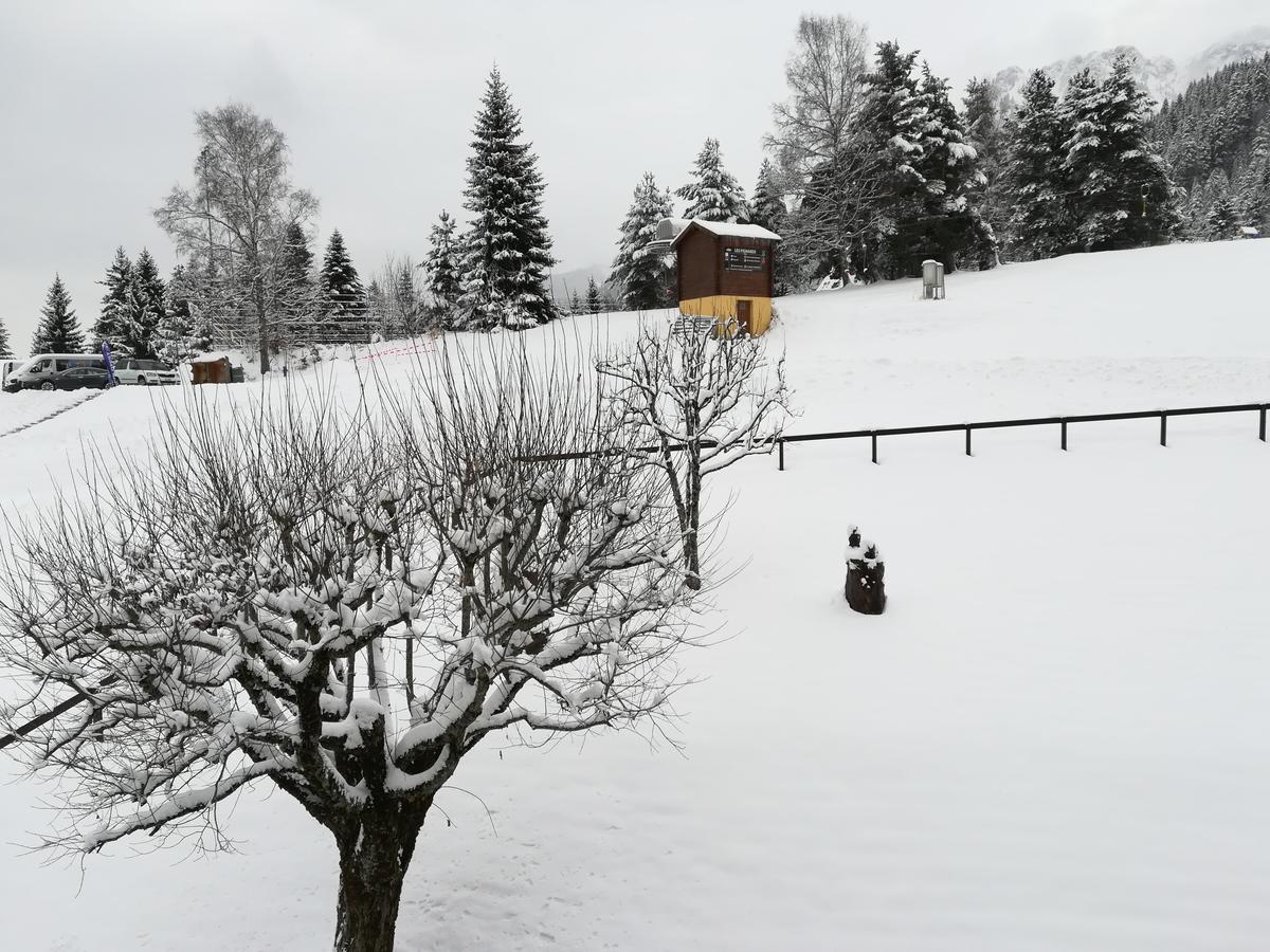 Romantic Chalet-Style Flat With Mountain View Torgon Eksteriør billede